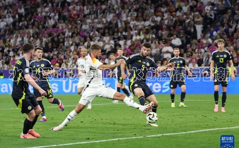 水上运动赛事IP：水域激情与创新