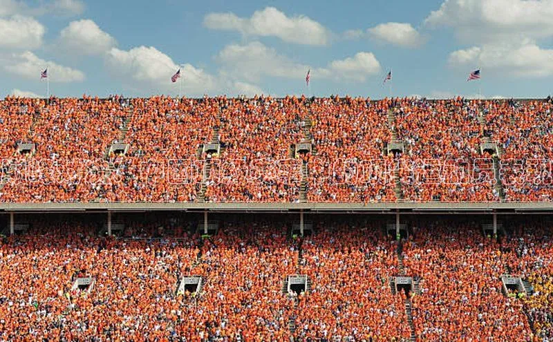 巅峰对决：中国顶级赛事中的顶尖运动员表现