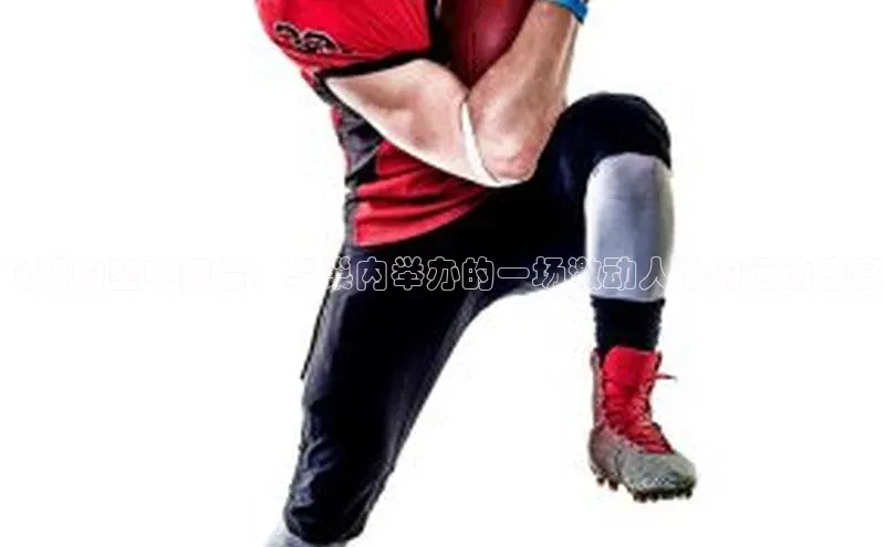 飞跃的空中舞台：鸟巢内举办的一场激动人心的运动盛宴