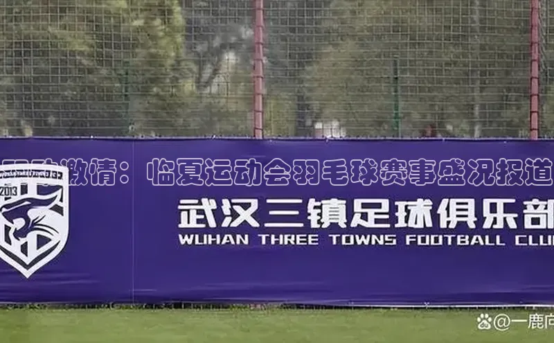 羽动激情：临夏运动会羽毛球赛事盛况报道