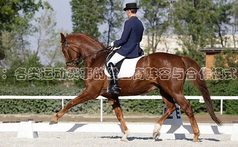 ：各类运动赛事的供应商阵容与合作模式