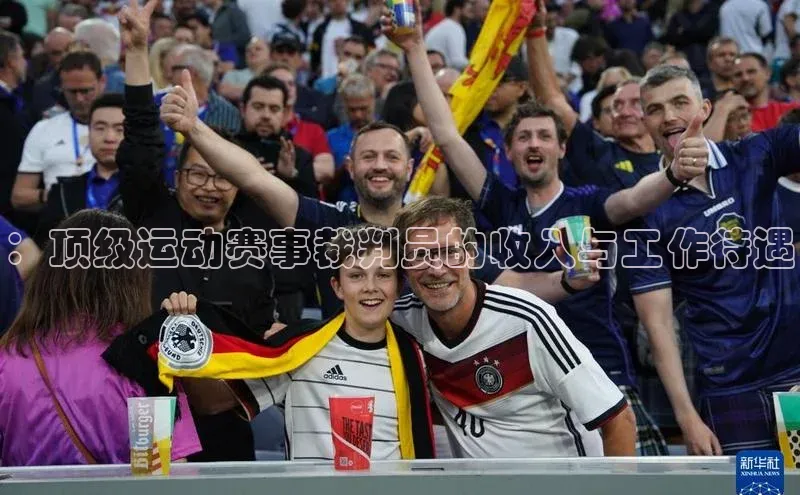 ：顶级运动赛事裁判员的收入与工作待遇