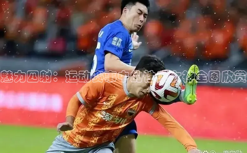 魅力四射：运动赛事中的性感女神全图欣赏