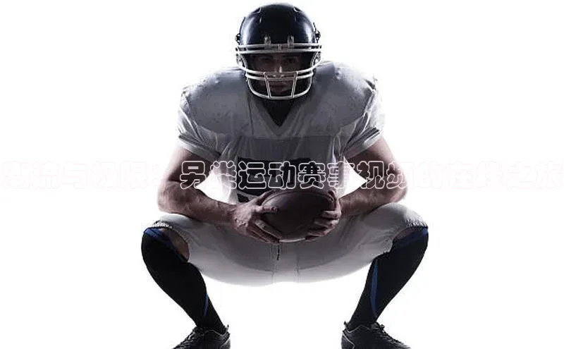 潮流与极限：另类运动赛事视频的在线之旅