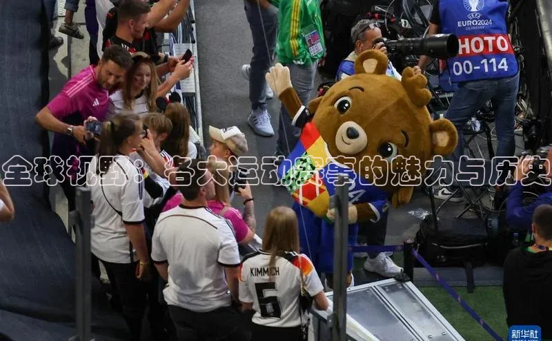 全球视野：各大运动赛事的魅力与历史