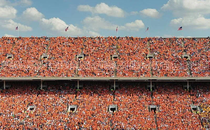 超越界限：全球顶级运动赛事视频素材的独家渠道