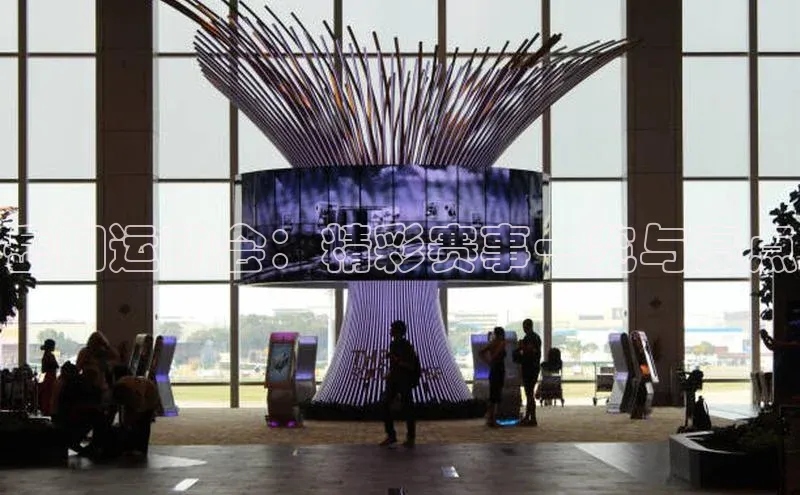 岳阳运动会：精彩赛事一览与亮点