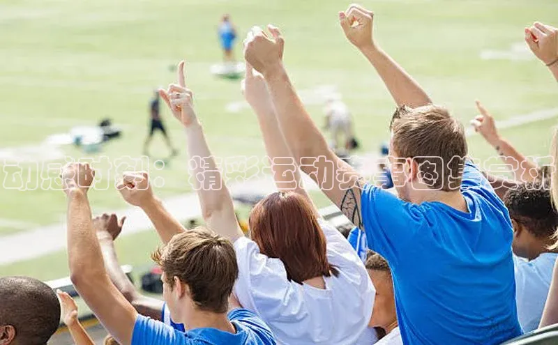 动感时刻：精彩运动赛事图集赏析