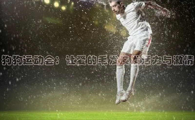 狗狗运动会：让爱的毛发焕发活力与激情