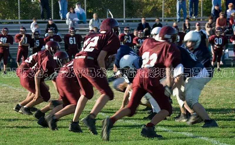 驰骋天地：高水平马术赛事的精彩瞬间与幕后故事