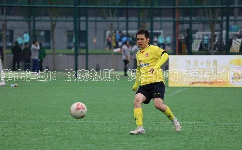 拳击运动：比赛规则、选手技巧与竞争动态
