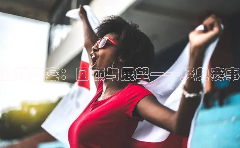 羽球盛宴：回顾与展望——经典赛事
